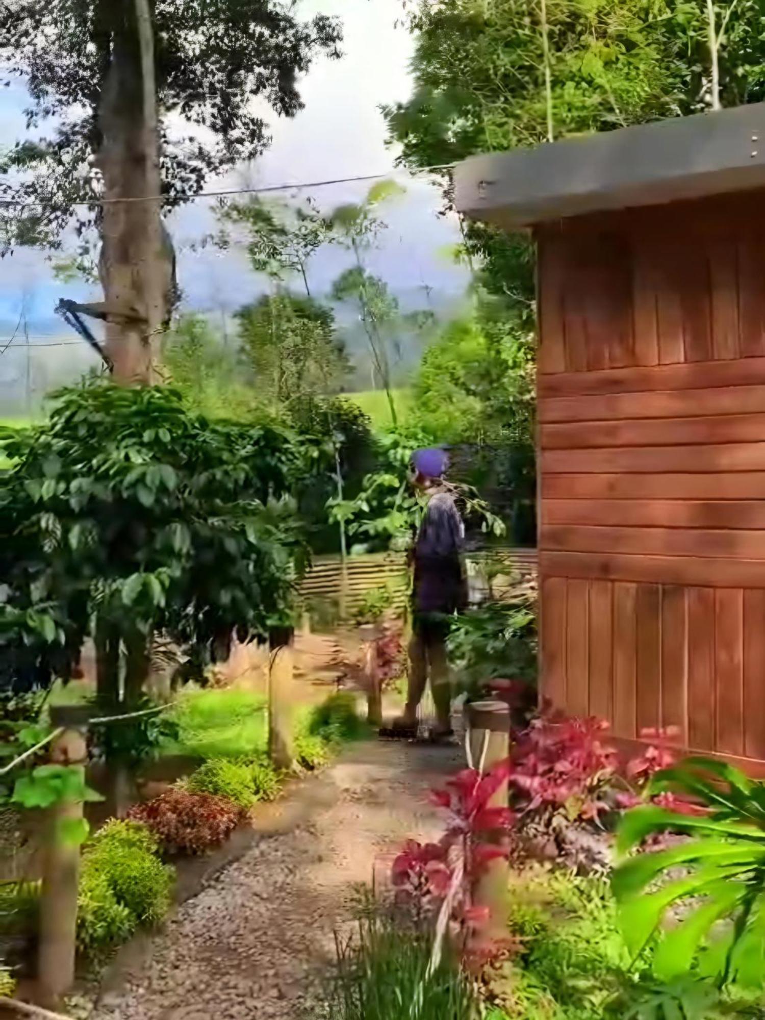 Отель Penginapan Nuansa Riung Gunung Pangalengan Экстерьер фото